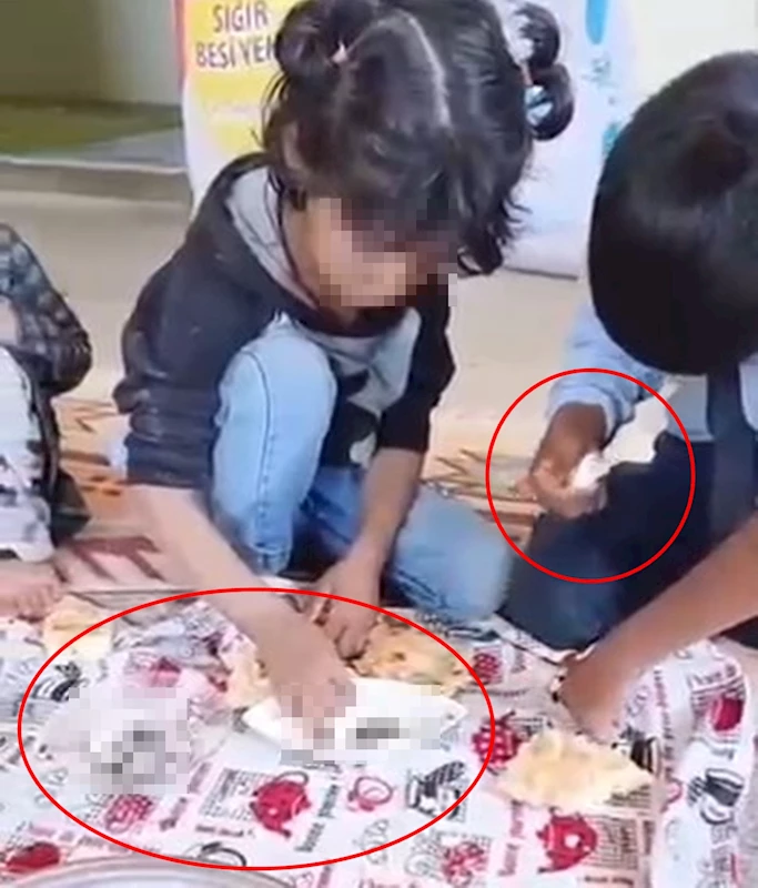 Barodan 4 çocuğa hayvan dışkısı yedirildiği iddiasıyla suç duyurusu