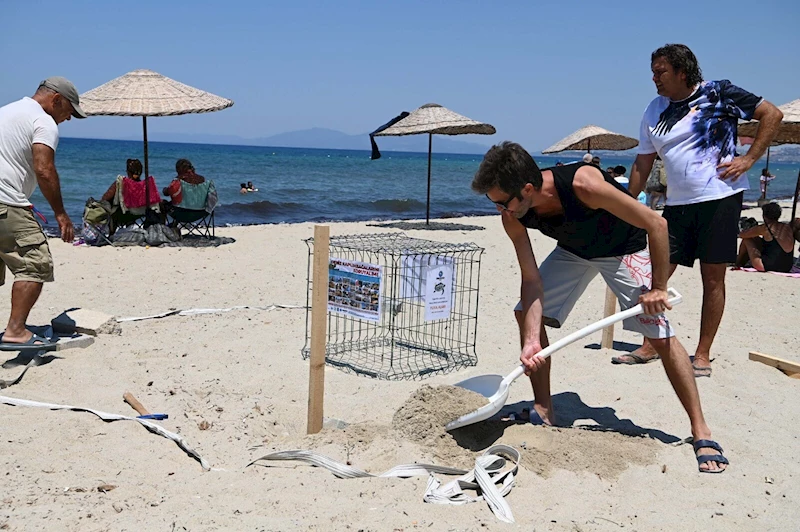 Kuşadası’nda 68 caretta caretta yumurtası zarar görmemesi için güvenli bölgeye taşındı
