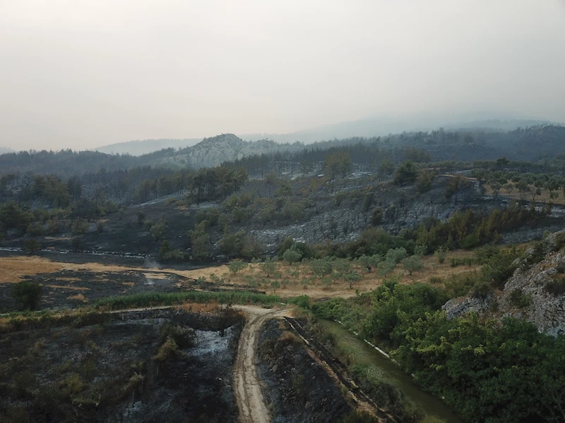 Sakarya