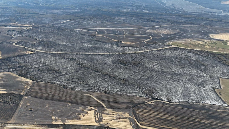 Tekirdağ yangınında alevlerin sıçradığı Çanakkale