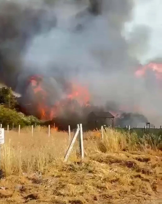 İzmir’de tarım arazisindeki yangında 8 ev zarar gördü 