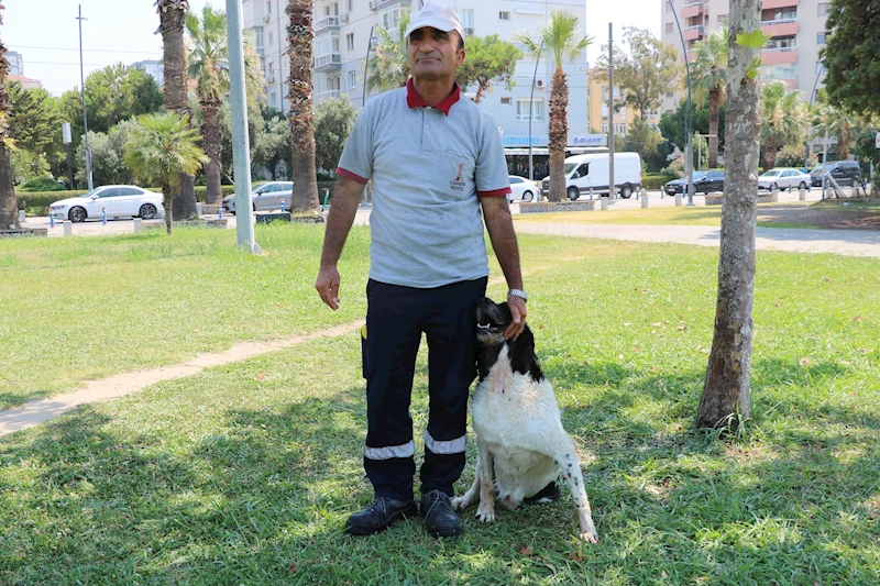 Temizlik görevlisinin sokak köpeği ile bağı dikkat çekiyor: O benim 3