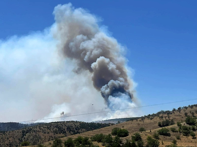 Ankara