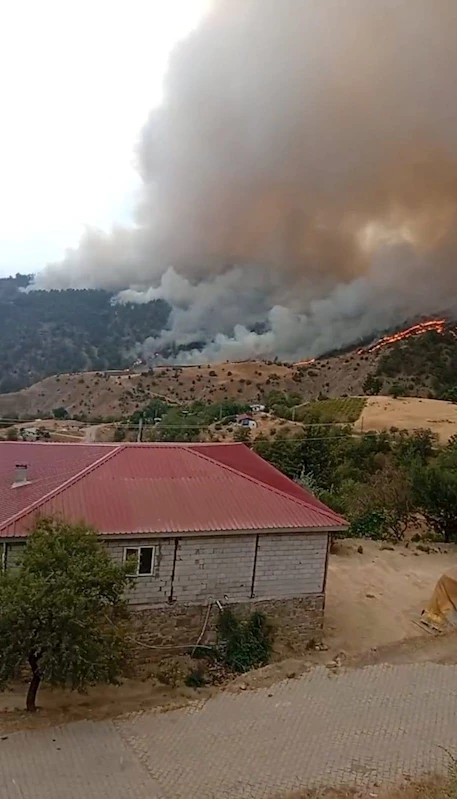 Kahramanmaraş’ta orman yangını 