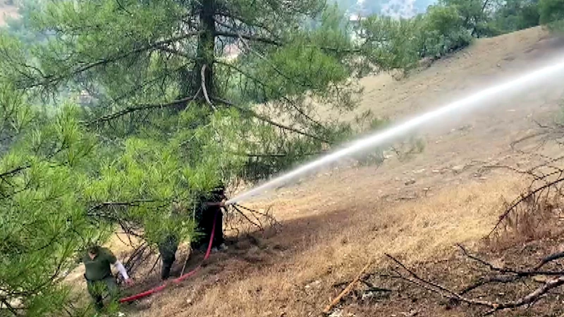 Kahramanmaraş’taki orman yangını 3’üncü gününde