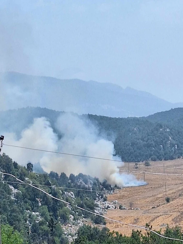 Kahramanmaraş’taki orman yangını 3’üncü gününde (2) /Video eklendi 