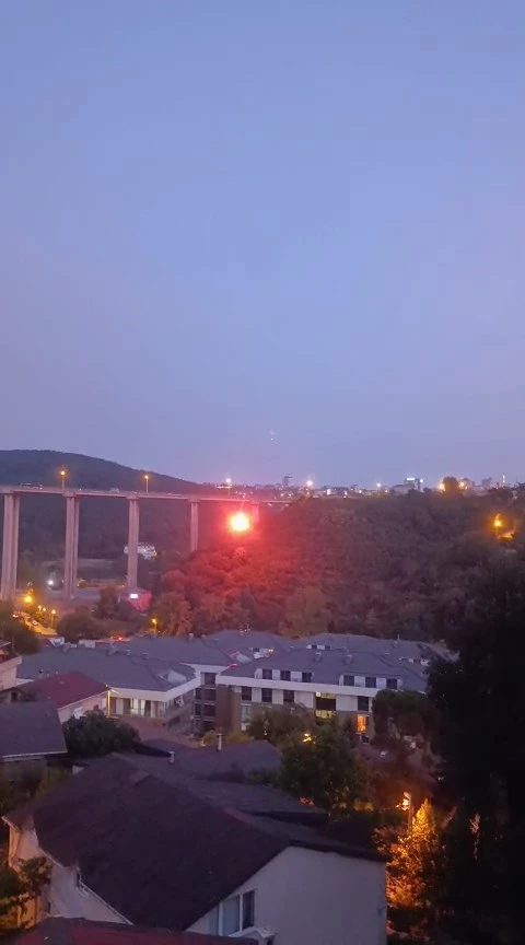 İstanbul - Beykoz’da orman yangınına ilişkin gözaltına alınan şüpheli tutuklandı / Ek bilgiyle 