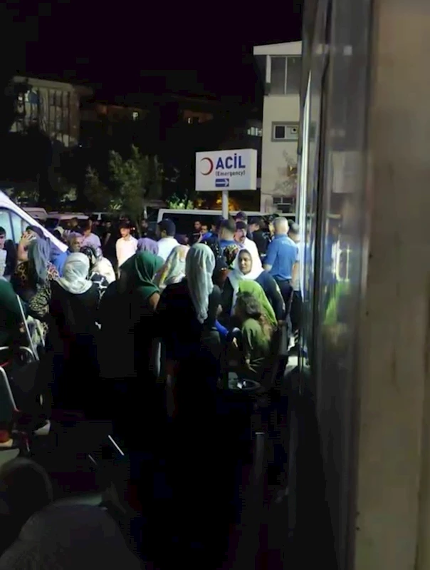 Annesini bıçakla yaralayan kardeşini öldürüldü