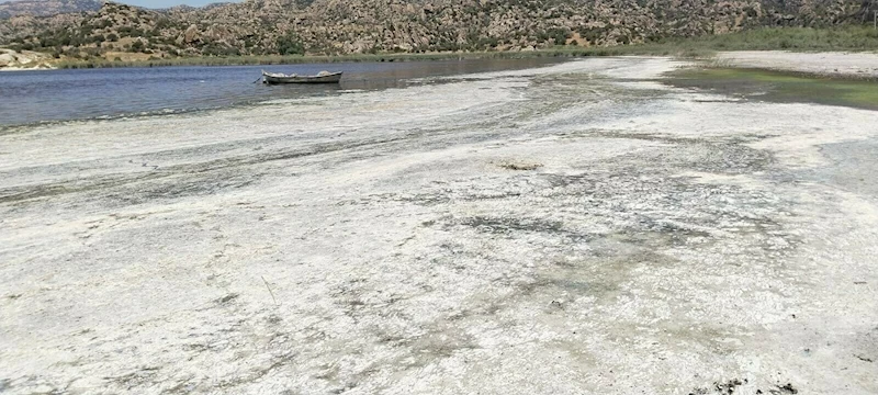 Bafa Gölü ve çevresinde kirlilik alarmı