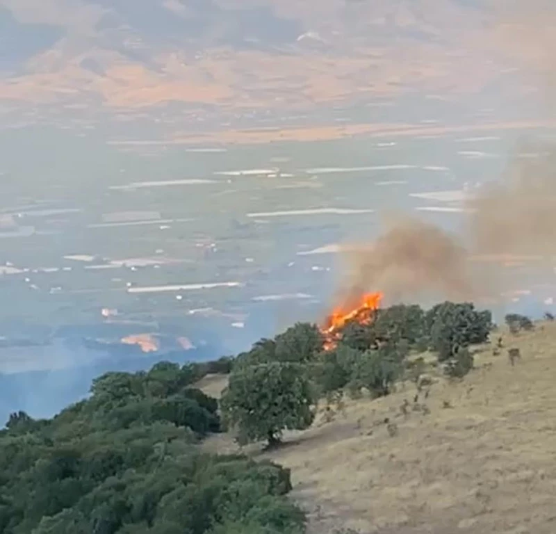 Manisa’da tarladaki yangın, makiliğe sıçradı