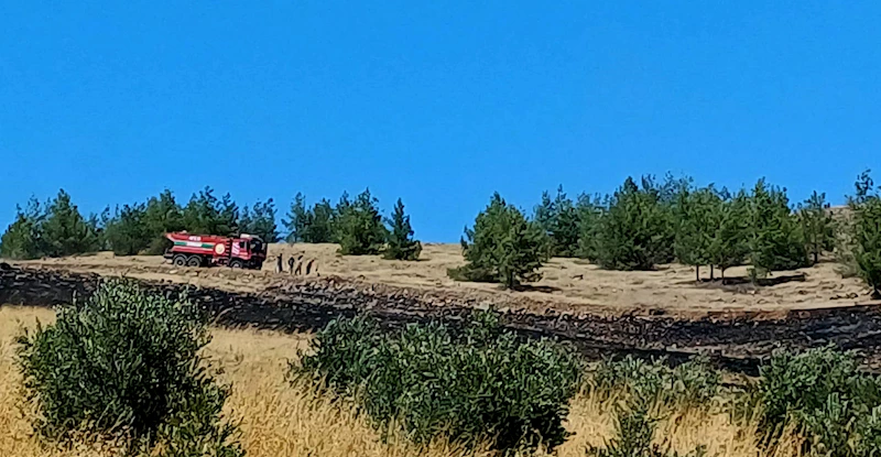 Gaziantep’te orman yangını 2 saatlik çalışmayla söndürüldü