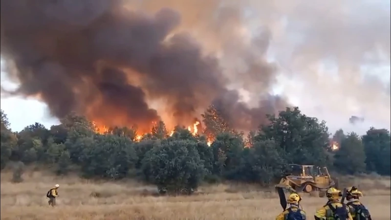 İspanya’daki orman yangınlarında 1 kişi hayatını kaybetti