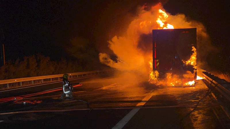 Kargo şirketi kamyonu alev alev yandı