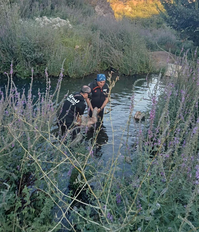 Akarsuda akıntıyla sürüklenip boğuldu