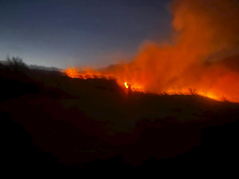Diyarbakır’da çıkan örtü yangını, 3 saatte söndürüldü