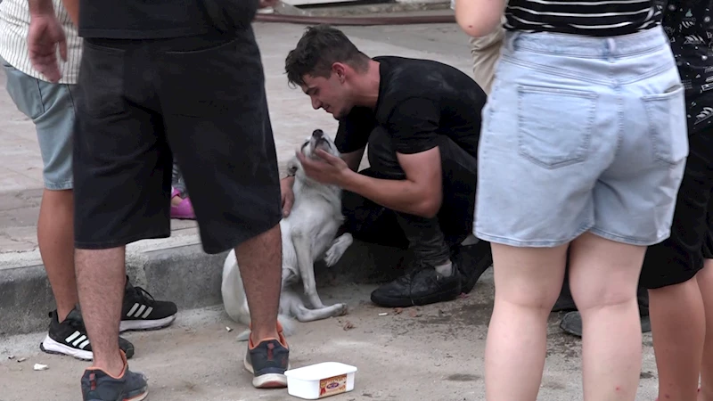 Yangın çıkan evdeki 2 köpeği itfaiye kurtardı