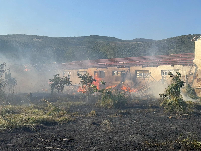 Rüzgarın etkisiyle kopan elektrik telleri yangına neden oldu