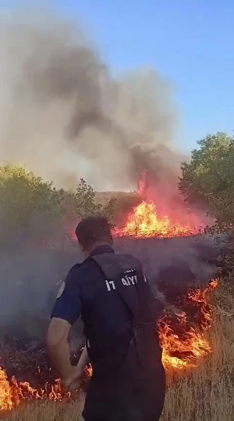 Elazığ’da iki noktada çıkan örtü yangınları söndürüldü