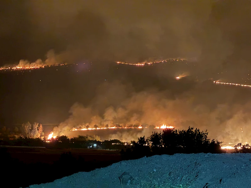 Diyarbakır’da 3 noktada örtü yangını (2)