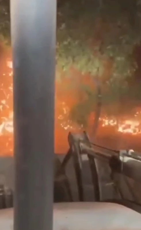 Diyarbakır’daki örtü yangını 17 saatte kontrol altında; 230 hektar alan yandı (2)