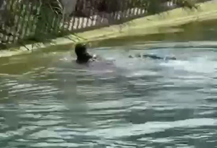 Sulama kanalında erkek cesedi bulundu