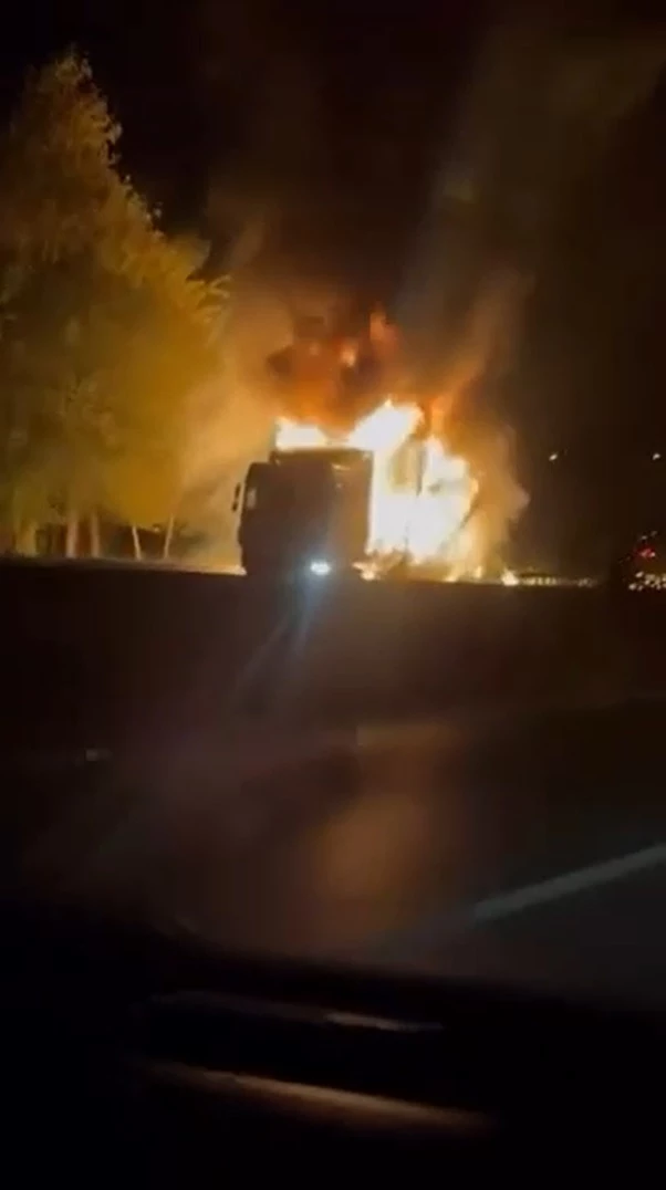 Samsun’da seyir halindeki TIR’da çıkan yangında alevler ağaçlara sıçradı