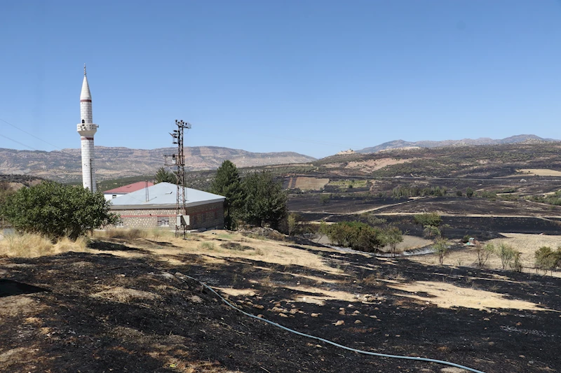 Diyarbakır’daki örtü yangını 17 saatte kontrol altında; 230 hektar alan yandı (3)