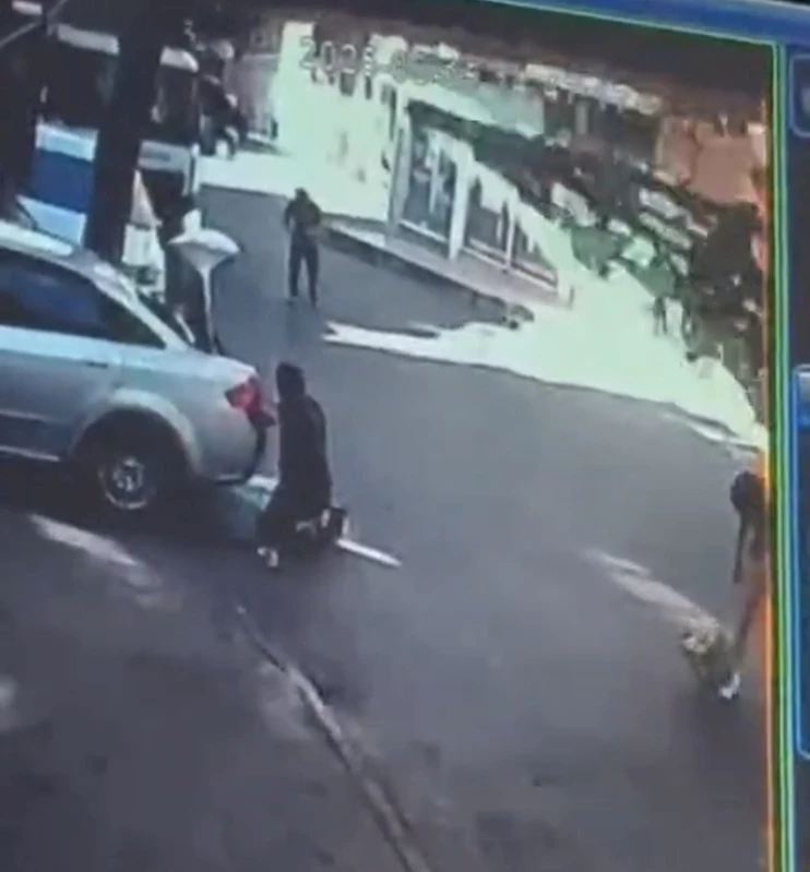 İstanbul - Kartal’da üzerine ağaç devrilen tiyatro oyuncusu ağır yaralandı