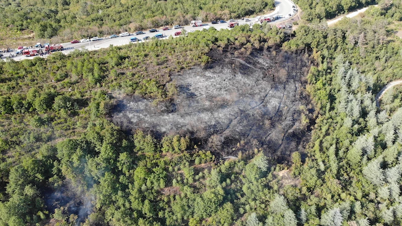 İzmit’te ormanda çıkan bir saatte söndürüldü