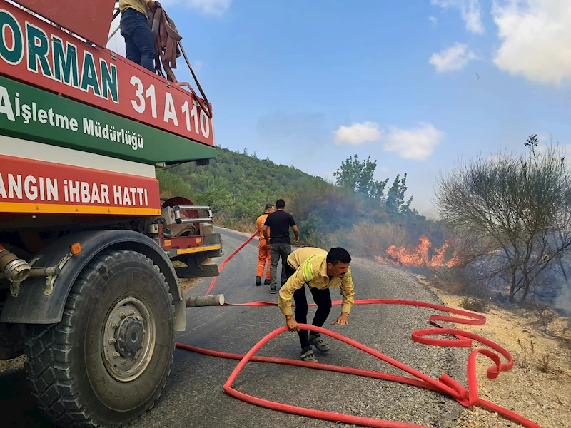 Suriye sınırında çıkan orman yangını kontrol altına alındı