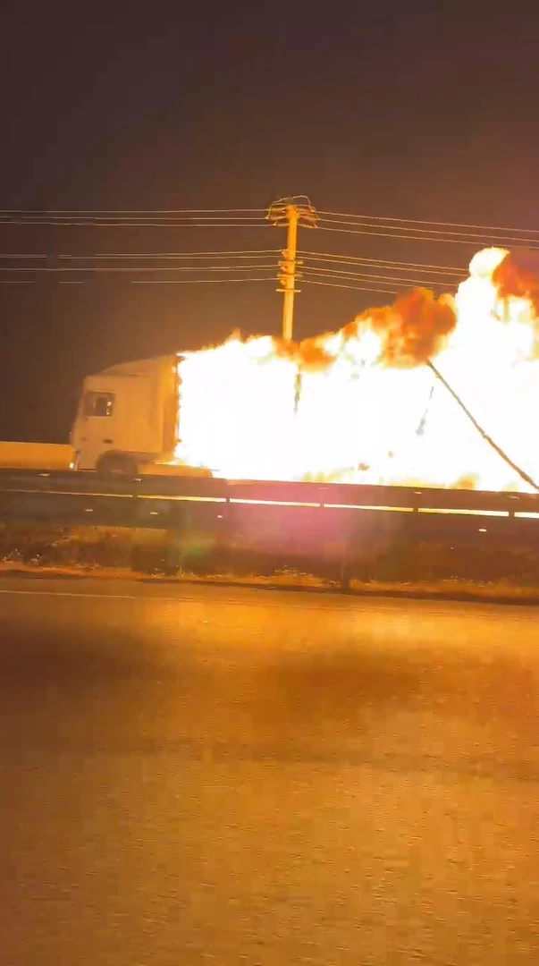 Samsun’da seyir halindeki TIR’da çıkan yangında alevler ağaçlara sıçradı (2) / Video eklendi