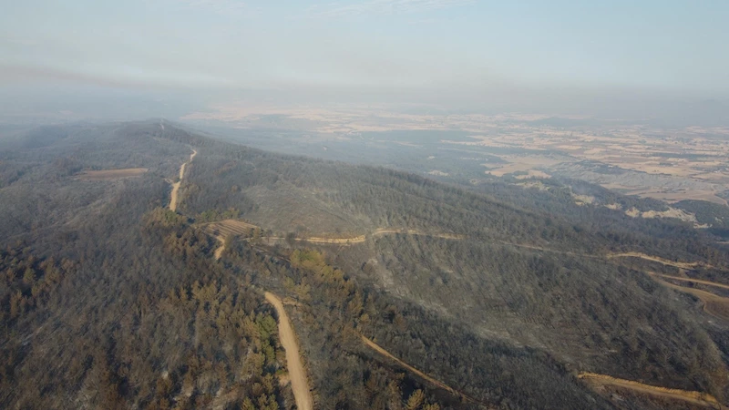 Çanakkale’deki orman yangınında zarar gören alanlar dron ile görüntülendi