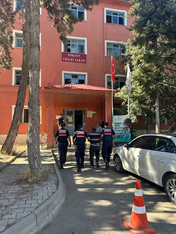 Arıları sakinleştirmek isterken 80 hektar ormanı yaktı