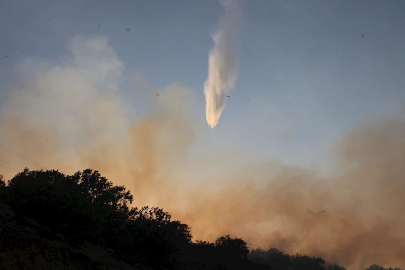 Malatya’da orman yangını (3)