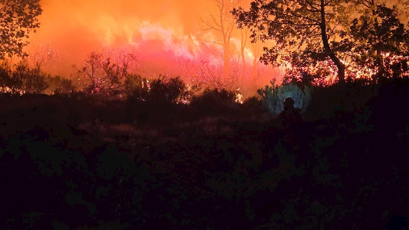 İspanya’da orman yangınları devam ediyor