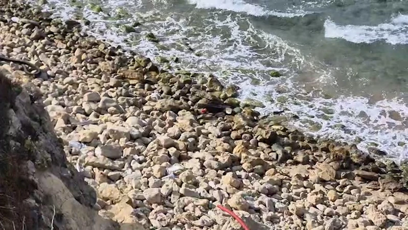 İstanbul - Şile sahilinde roket başlığı olduğu değerlendirilen cisim bulundu - 2 / Ek görüntü