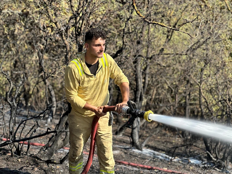 İznik’te çıkan orman yangını 1 saatte kontrol altına alındı