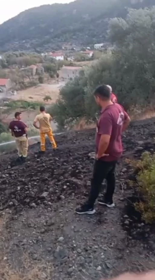 Muğla’da zeytinlikte çıkan yangın 1 saatte söndürüldü