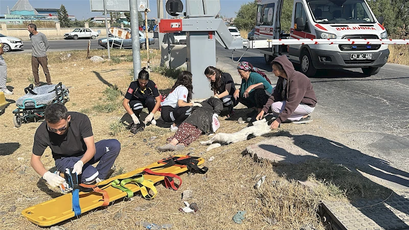 Hemzemin geçitte yük treni çarpan yaya yaralandı