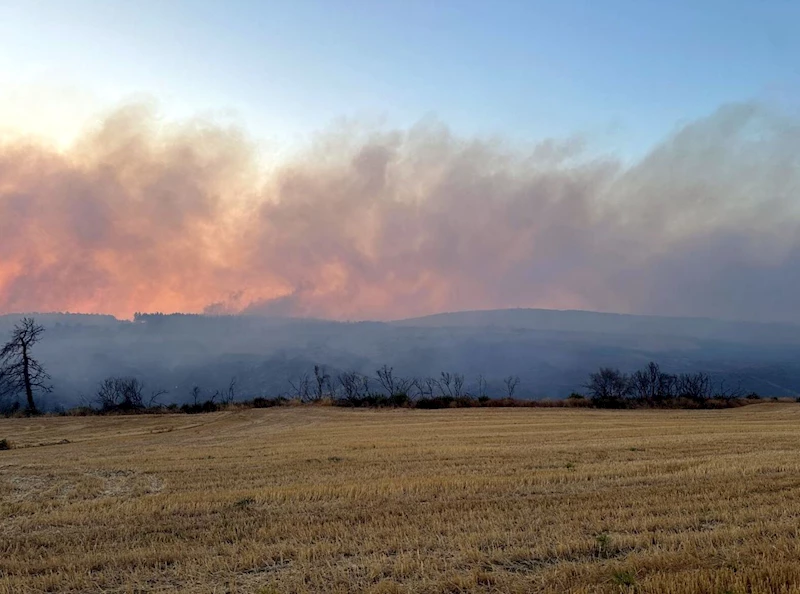 Çanakkale’de orman yangını (3)