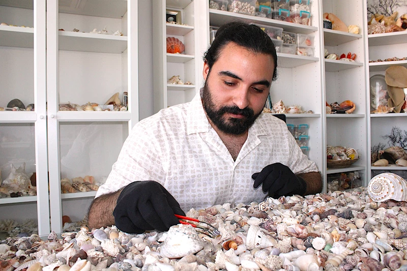 Topladığı 10 milyon deniz kabuğu ile koleksiyon oluşturdu