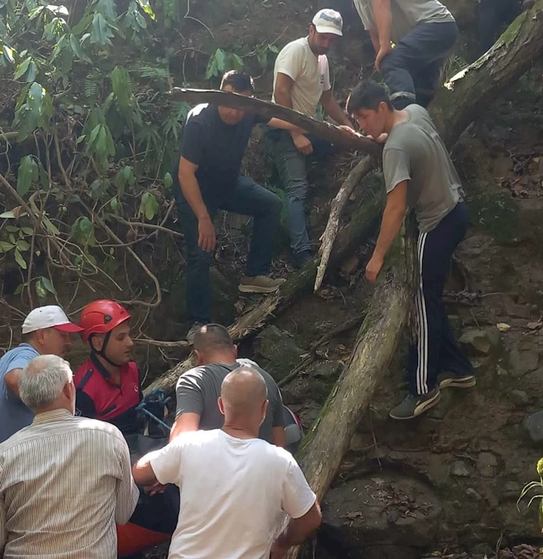 Fındık toplarken uçurumdan yuvarlanıp öldü