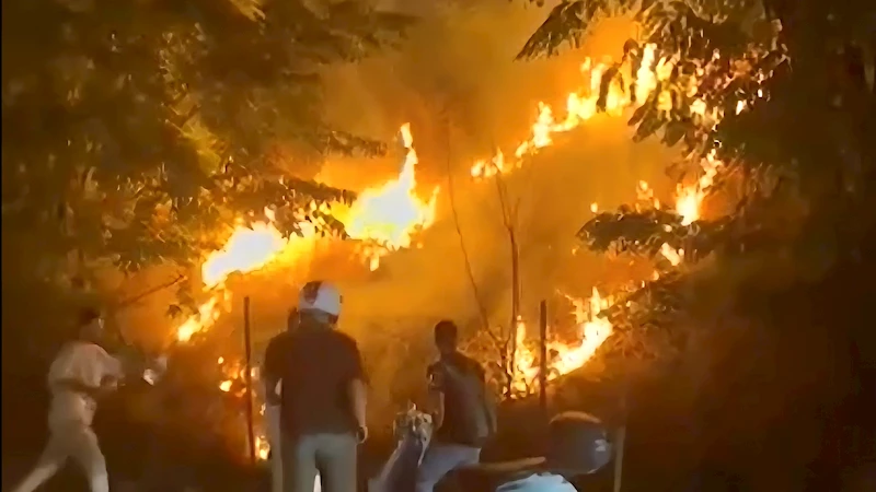 Meşaleli kutlama otluk alanı yaktı