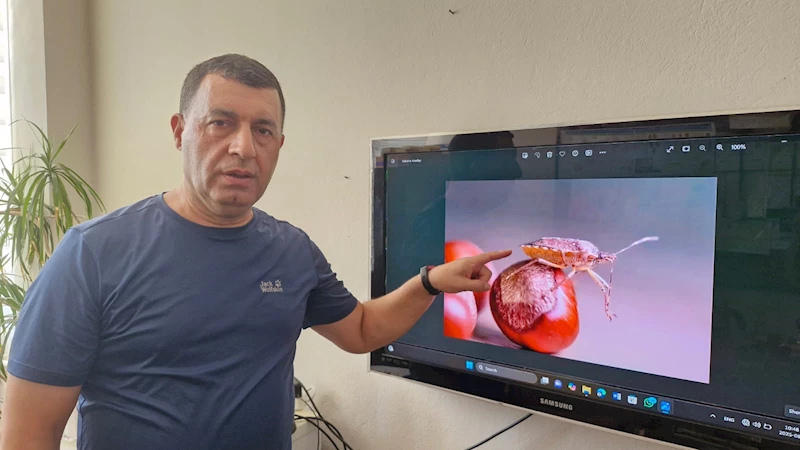 Diyarbakır’da da görülen istilacı türe karşı biyolojik mücadele çağrısı