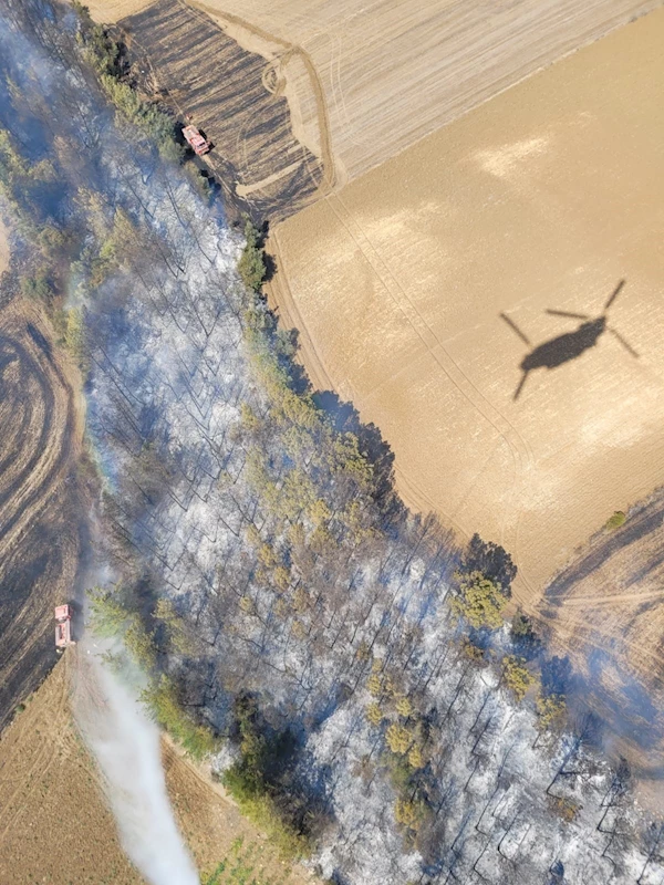 Adana’da çıkan orman yangını kontrol altına alındı