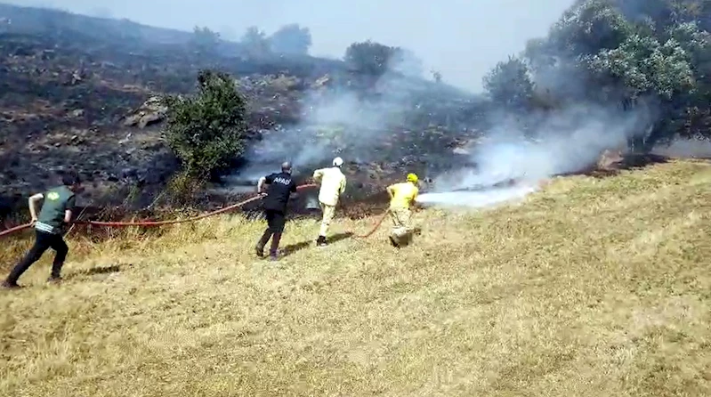 Tokat’ta örtü yangını