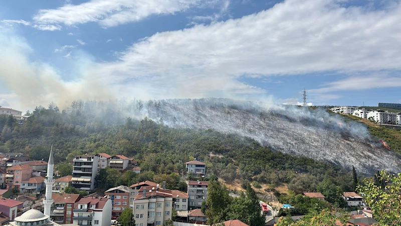 Kocaeli’de orman yangını(2)