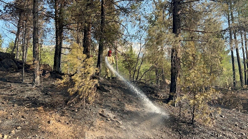 Otoyoldaki otomobilde çıkan yangın, ormana sıçradı (2)