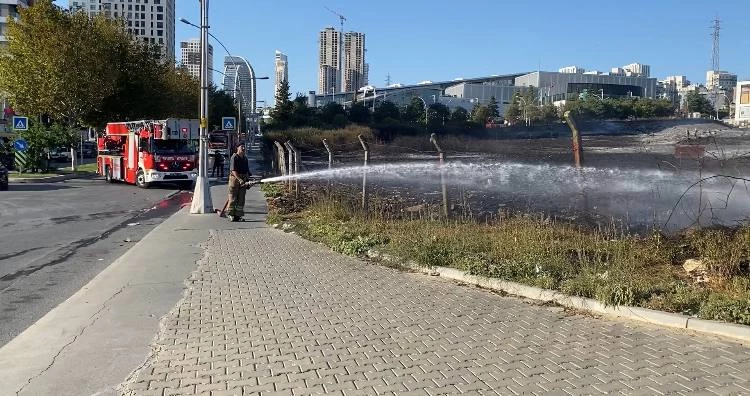 İstanbul - Esenyurt’ta otluk alanda çıkan yangın kısa sürede söndürüldü