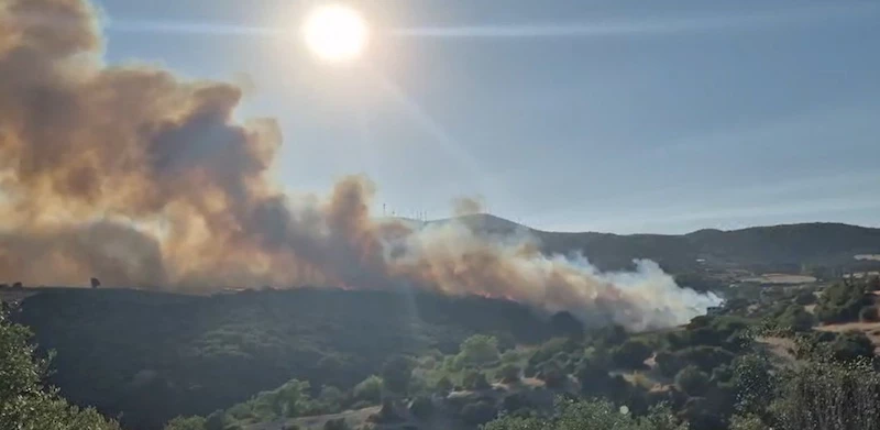 Balıkesir’de orman yangını